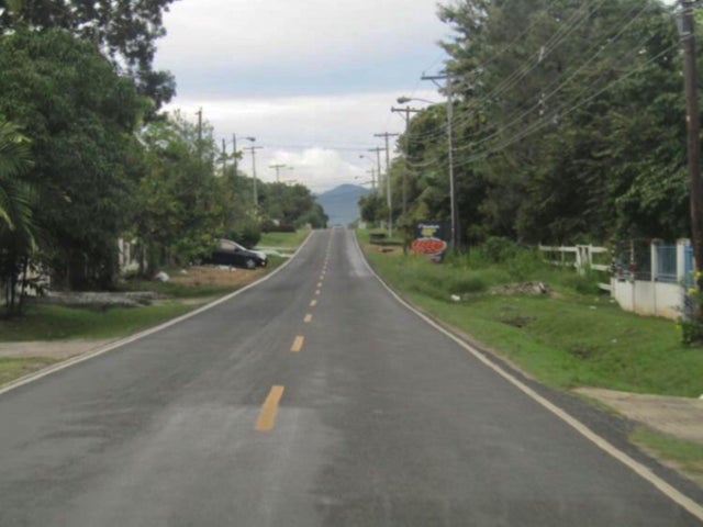 Convenient Residential Lot - Terreno en Gorgona